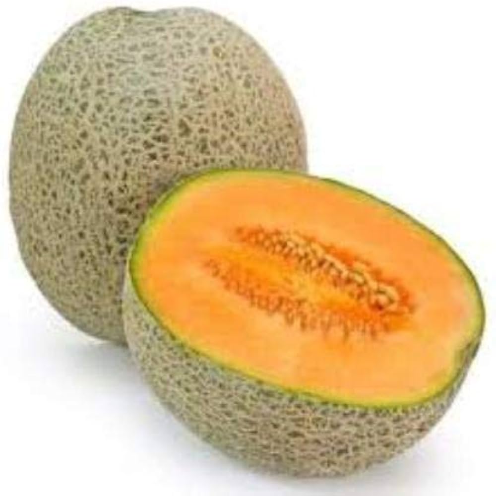 Honeydew melon Cucumis melo fruit seeds for planting in backyard gardens