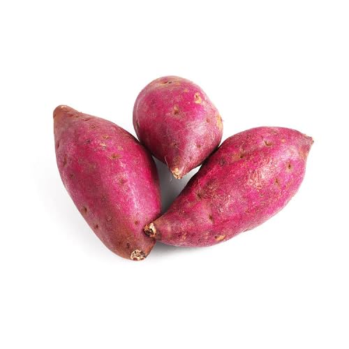 Pink Sweet Potato - Heirloom, Non - Gmo Seeds