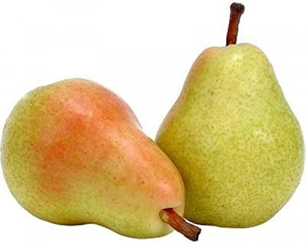 Pear Fruit Seeds Pyrus communis for Planting in Home Garden