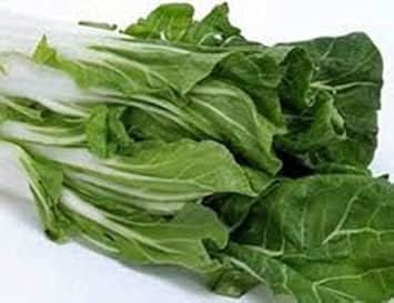 Green Chard Vegetable Seeds for Planting heirloom & Non-GMO Seeds