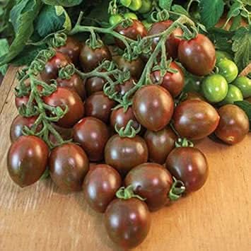 Chocolate Mix Tomato Vegetable Seeds for Planting heirloom & Non-GMO Seeds