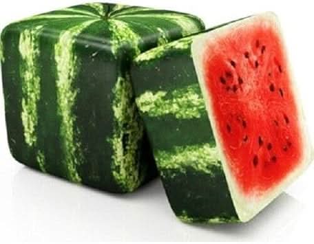 Square watermelon fruit seeds