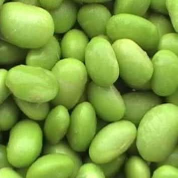 Green Edamame Vegetable Seeds for Planting heirloom & Non-GMO Seeds