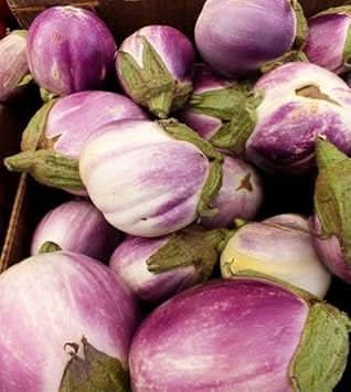 Lavender Eggplant Seeds for Planting