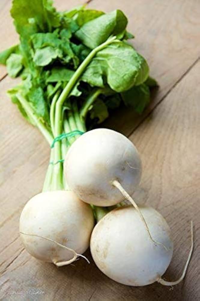White Lady F Hybrid Turnip Seeds pcs Extra-Fancy