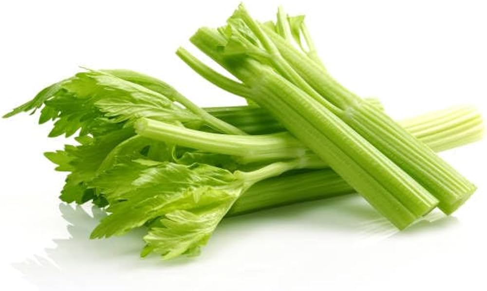 Celery Apium Graveolens Vegetable Seeds
