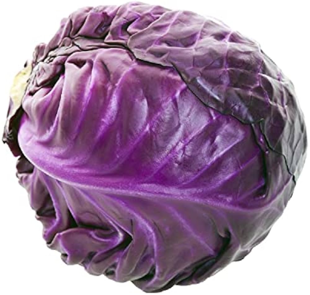 Hybrid Mid Maturity Vigorous Growing Purple Cabbage For Sowing – Heirloom, Non-GMO, High Germination Organic Garden Seeds