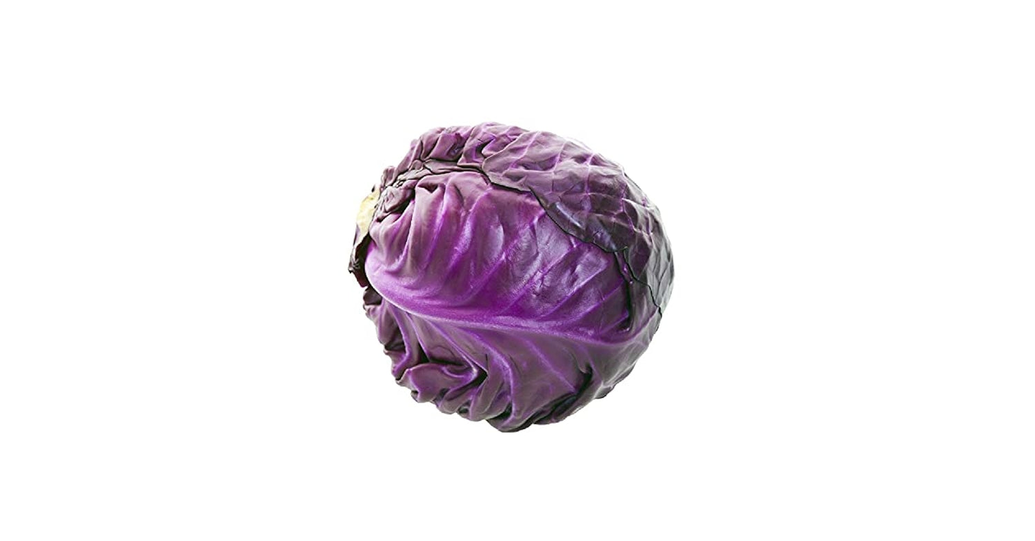 Premium Purple Cabbage For Early Vigorous Growth – Heirloom, Non-GMO, High Germination Organic Garden Seeds