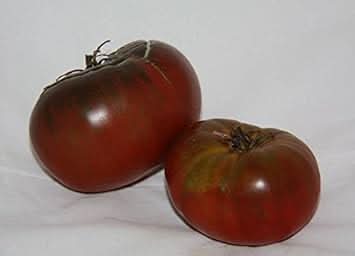 Maroon Tomato Seeds for Planting