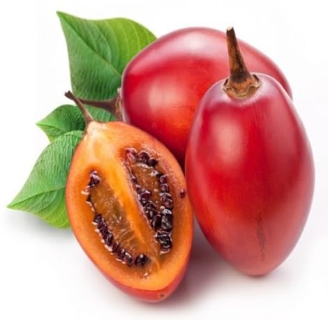 Red Tamarillo