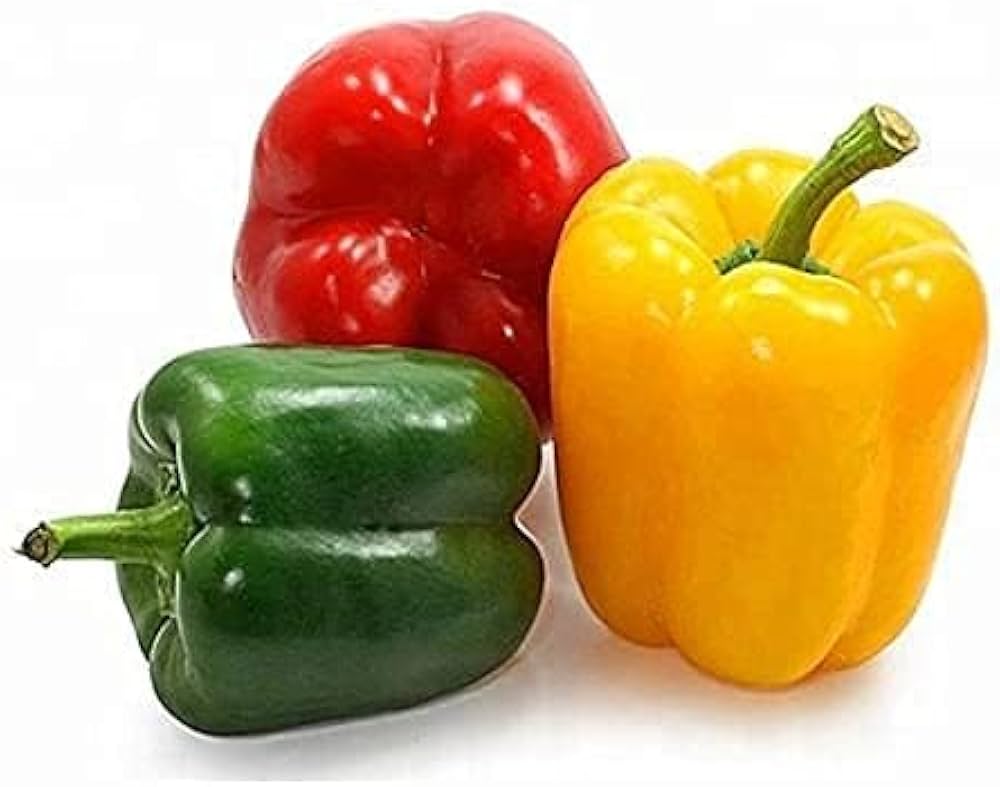 Golden Bell Pepper Seeds for Planting Capsicum annuum for Vegetable Patch and Kitchen Garden
