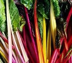 Swiss Chard Vegetable Seeds for Planting