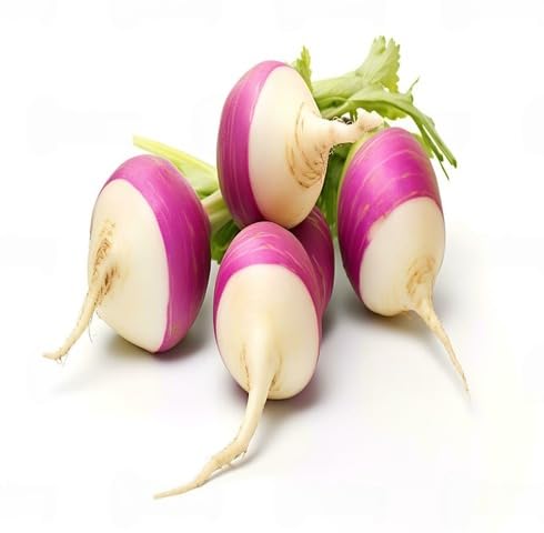 White Pink Turnip - Heirloom, Non - Gmo Seeds