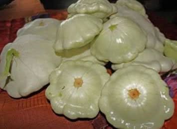 New Fresh Green Tint Scallop Fruit Seeds - Exotic Scallop Fruits for Your Backyard