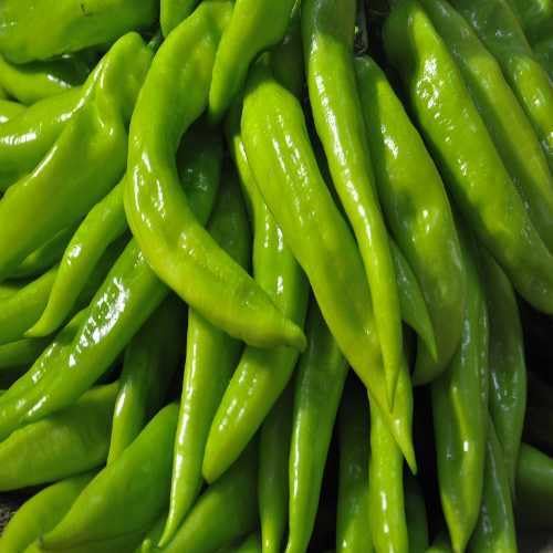 Chilli Pepper - Heirloom, Non - Gmo Seeds