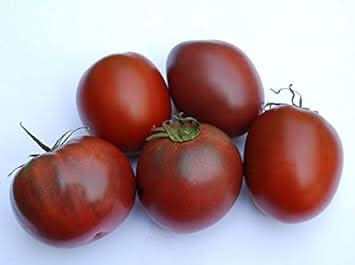 Maroon Tomato Seeds for Planting