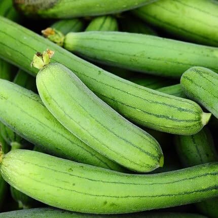 Luffa Gourd Green - Heirloom, Non - Gmo Seeds