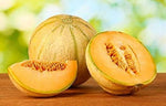 Sweet Melon Fruit Cucumis melo for planting in vegetable patch
