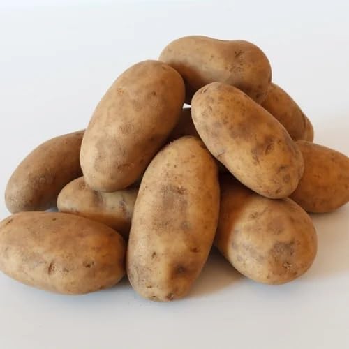Brown Potato - Heirloom, Non - Gmo Seeds