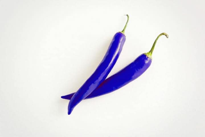 Chili Seeds for Planting