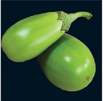 Green Eggplant Vegetable Seeds for Planting - heirloom & Non-GMO Seeds