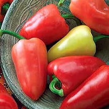Pepper Heirloom Non Gmo Image