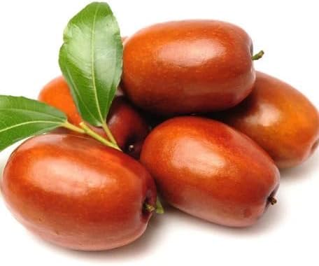 Red Jujube Fruit - Heirloom, Non - Gmo Seeds