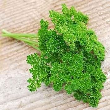 Lettuce Flower Seeds for Planting