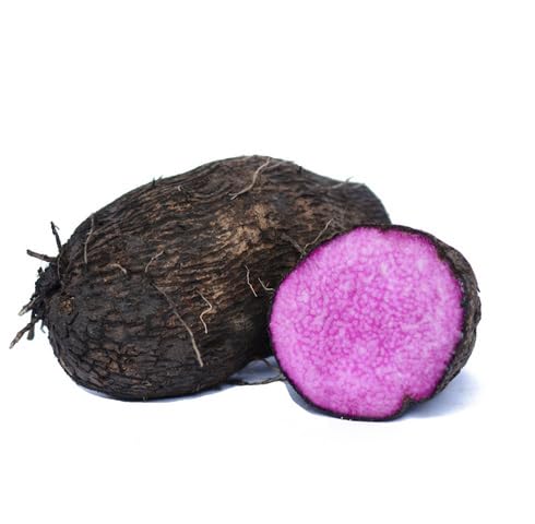 Purple Dioscorea Alata
