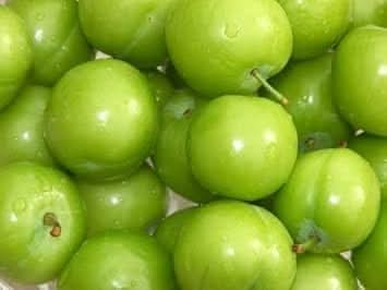 Green Tomato Vegetable Seeds for Planting heirloom & Non-GMO Seeds