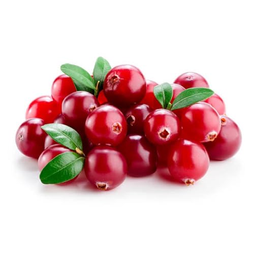 Red Cranberry Fruit - Heirloom, Non - Gmo Seeds