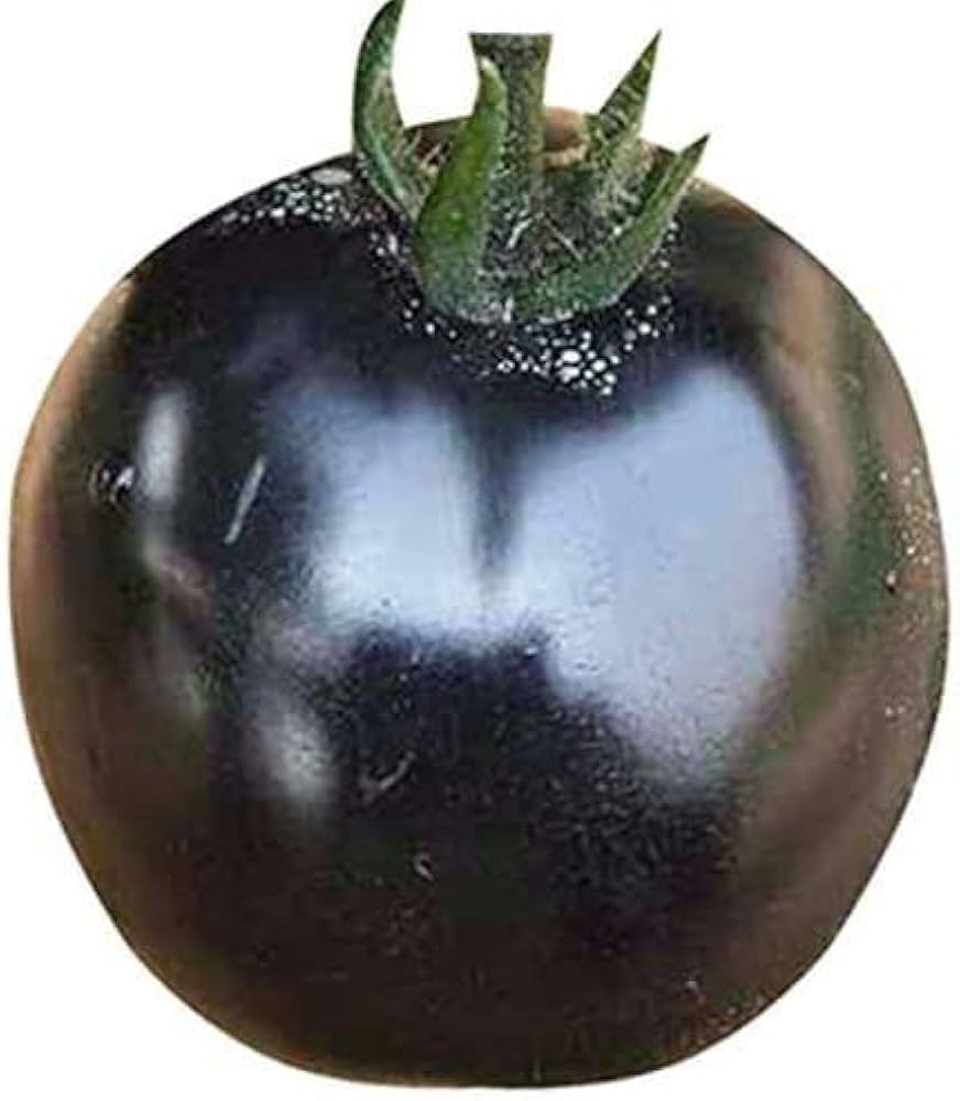 Giant Chocolate Tomato Seeds Solanum lycopersicum for Planting in Greenhouse or Home Garden