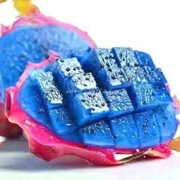 Pitaya Fruit Seeds Easy to Grow Blue 1