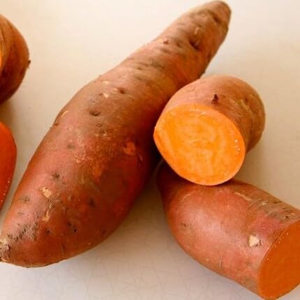 Orange Sweet Potato - Heirloom, Non - Gmo Seeds