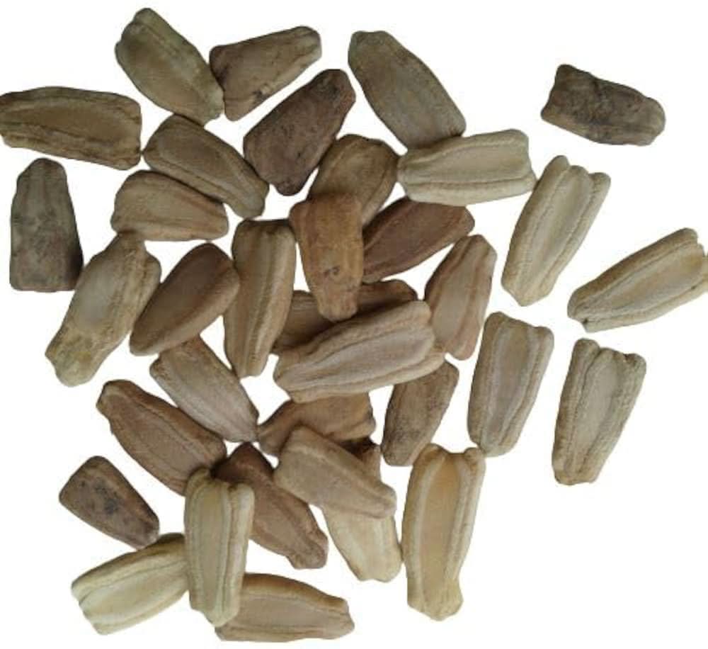 Bottle Gourd Lagenaria siceraria vegetable seeds for kitchen garden and backyard planting