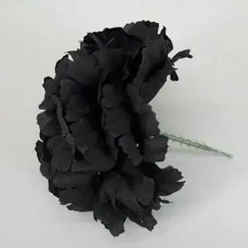 Black Carnation Flower Seeds – Heirloom, Non-GMO Seeds for Planting Elegant Garden Blooms Dhara Seeds