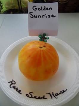 Yellow Tomato Seeds for Planting