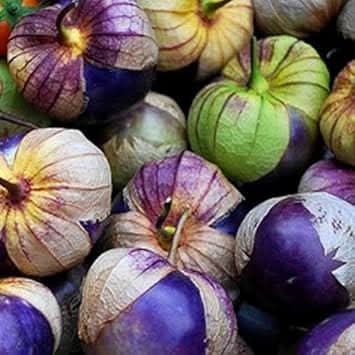 Tomatillo Seeds for Planting