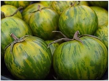 Green Tomato Seeds for Planting - Unique Variety - heirloom & Non GMO Seeds