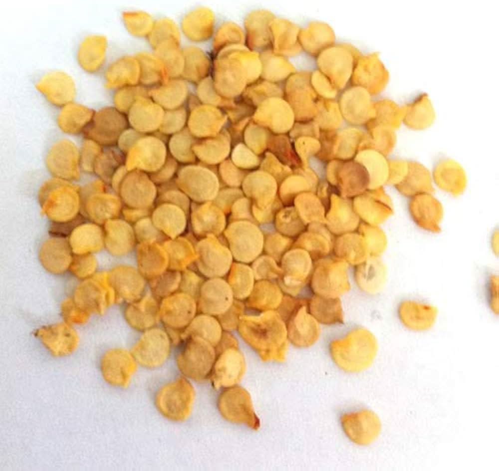 Yellow Bhut Jolokia Pepper Capsicum Chinense Vegetable Seeds for Planting in Kitchen Garden and Containers