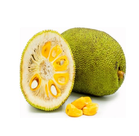 Green Jackfruit
