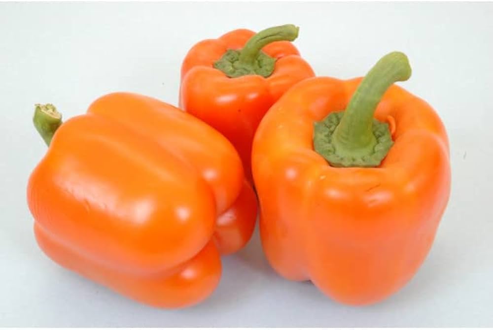 Juicy Orange Pepper Seeds for Planting Vegetable Patch Balcony Planters
