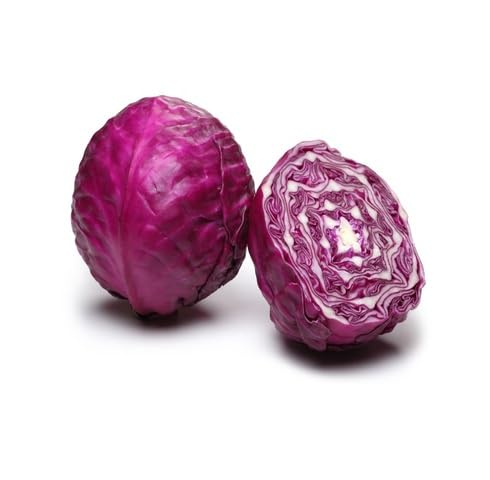 Purple Cabbage