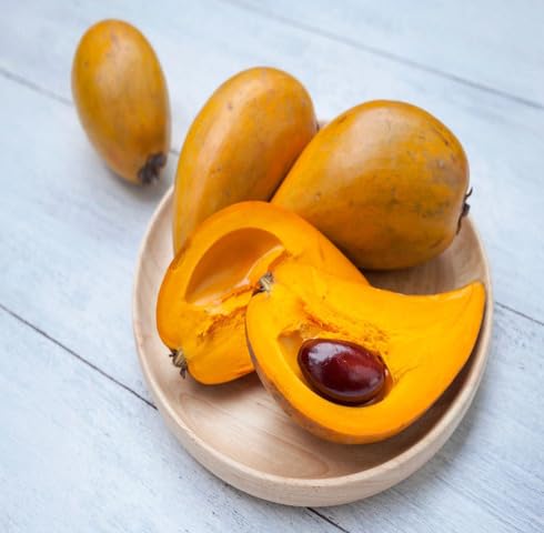 Yellow Lucuma Fruit