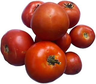 Homestead Tomato Seeds for Home-Grown Tomatoes