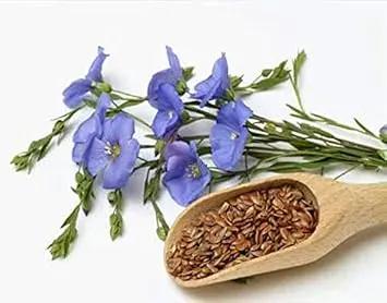 Usitatissimum Flower Planting Seeds for Garden NON GMO Seeds Dhara Seeds