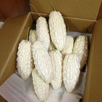 Momordica Vegetable Seeds for Planting - heirloom & Non GMO Seeds
