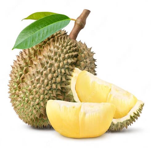 Yellow Durian Fruit - Heirloom, Non - Gmo Seeds