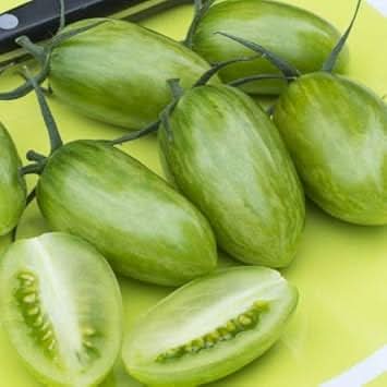 Green Tomato Solanum lycopersicum for planting in home garden