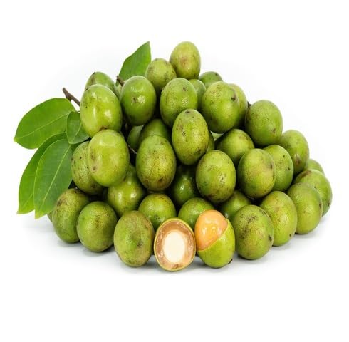 Orange Mamoncillo Fruit - Heirloom, Non - Gmo Seeds
